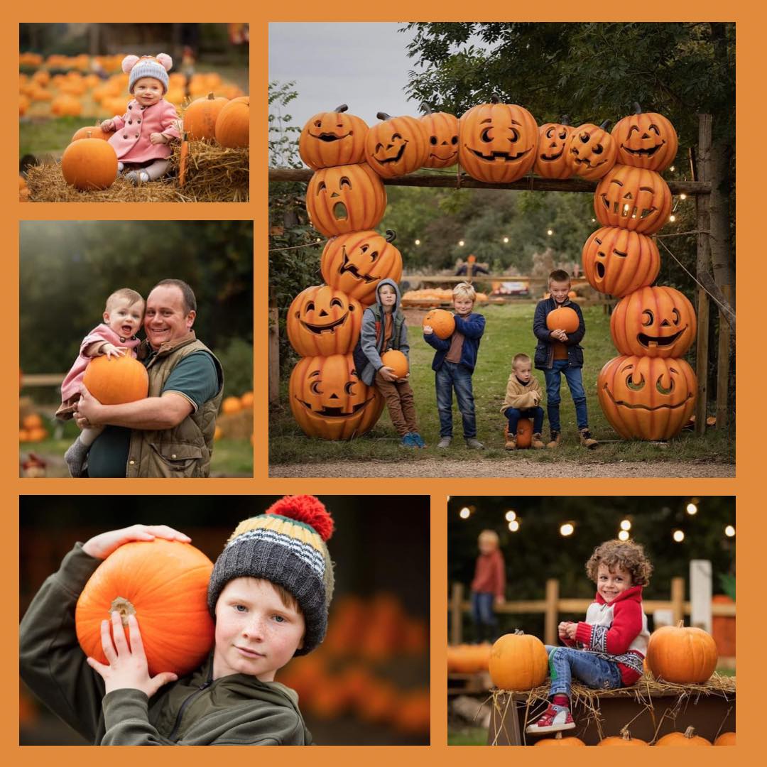 West Lodge Farm Park Halloween and Pumpkin Festival